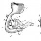 Поджелудочная железа (анатомия, эмбриология) Рис. 1