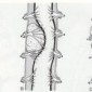 Опухоли спинного мозга и позвоночного канала Опухоли спинного мозга и позвоночного канала