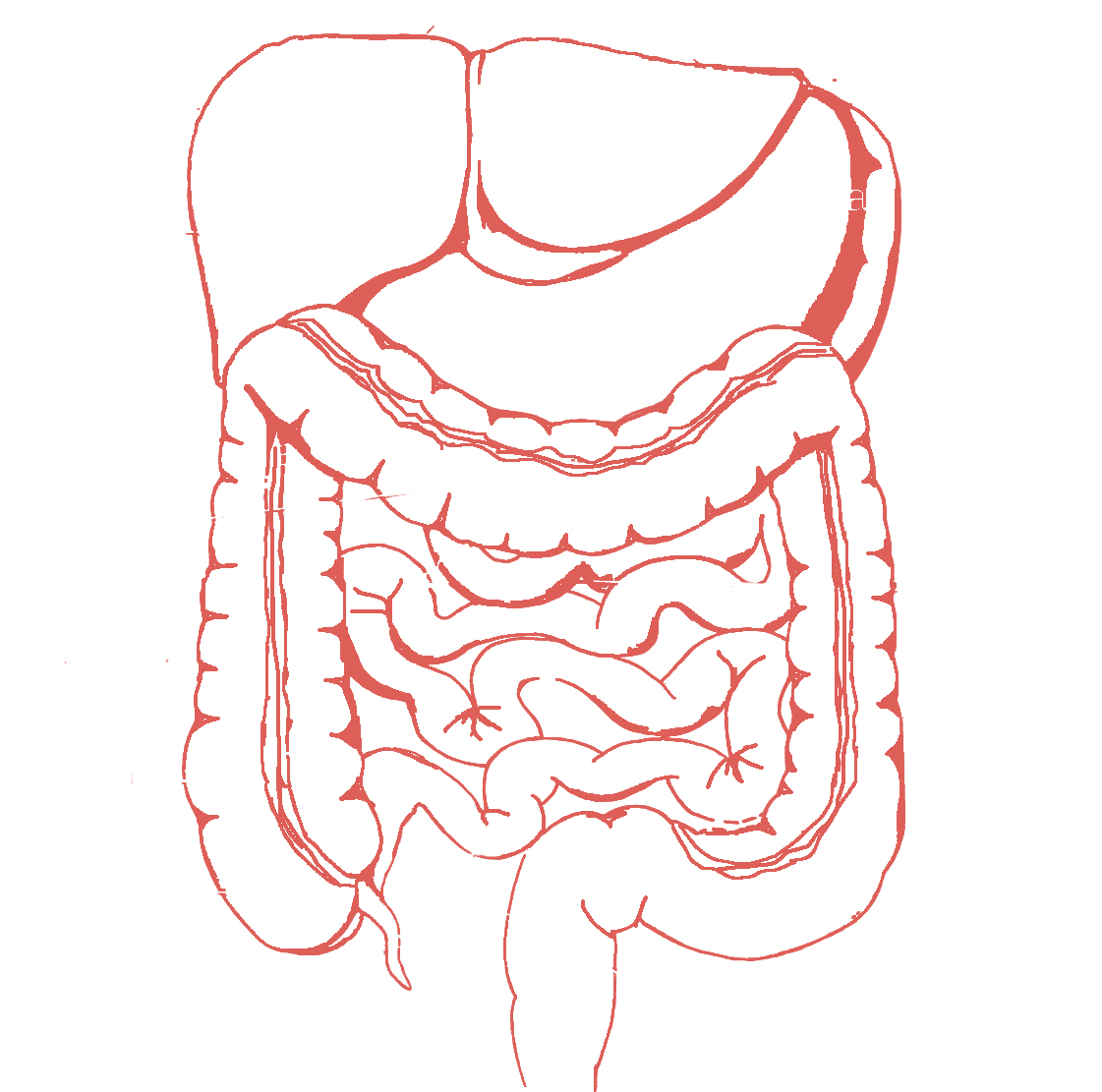 Абдоминальная радиология