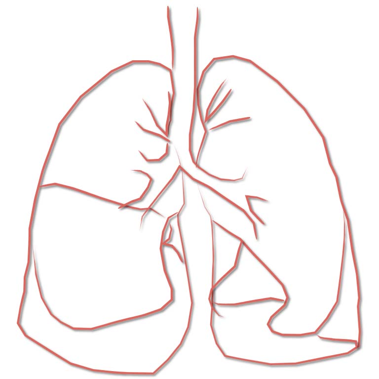 Компьютерная томография в торакальной радиологии